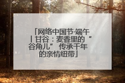 网络中国节·端午丨甘谷：麦香里的“谷角儿” 传承千年的亲情纽带