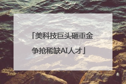 美科技巨头砸重金争抢稀缺AI人才