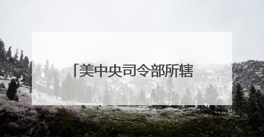 美中央司令部所辖地区将部署更多军力，“尼米兹”号航母改道驶向中东