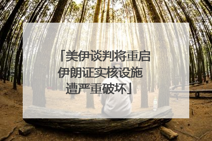 美伊谈判将重启 伊朗证实核设施遭严重破坏
