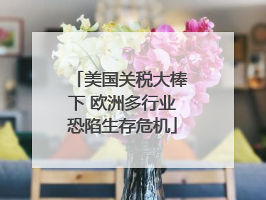 美国关税大棒下 欧洲多行业恐陷生存危机