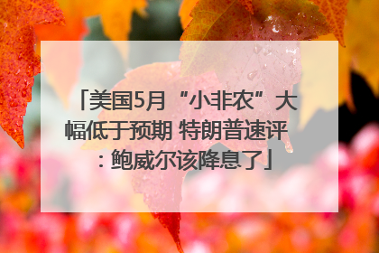 美国5月“小非农”大幅低于预期 特朗普速评：鲍威尔该降息了