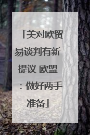 美对欧贸易谈判有新提议 欧盟：做好两手准备