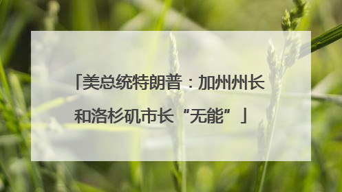 美总统特朗普：加州州长和洛杉矶市长“无能”