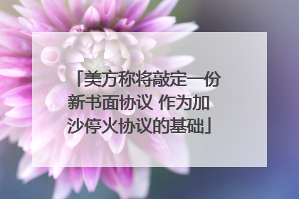 美方称将敲定一份新书面协议 作为加沙停火协议的基础