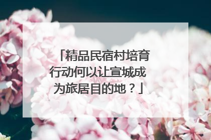 精品民宿村培育行动何以让宣城成为旅居目的地？