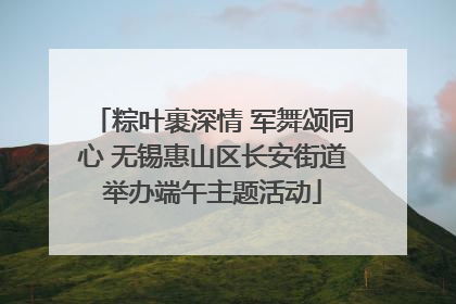 粽叶裹深情 军舞颂同心 无锡惠山区长安街道举办端午主题活动