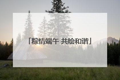 粽情端午 共绘和谐