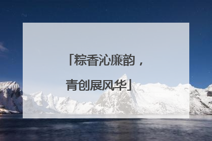 粽香沁廉韵，青创展风华