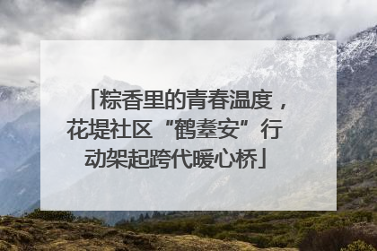 粽香里的青春温度，花堤社区“鹤耋安”行动架起跨代暖心桥