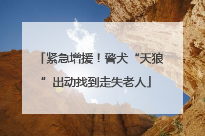 紧急增援！警犬“天狼”出动找到走失老人