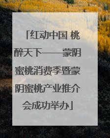 红动中国 桃醉天下——蒙阴蜜桃消费季暨蒙阴蜜桃产业推介会成功举办