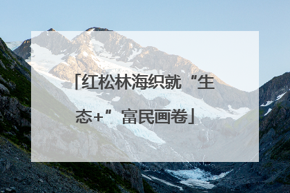 红松林海织就“生态+”富民画卷