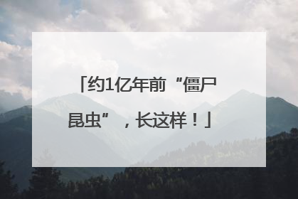 约1亿年前“僵尸昆虫”，长这样！