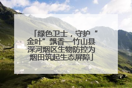 绿色卫士，守护“金叶”飘香—竹山县深河烟区生物防控为烟田筑起生态屏障