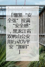 绷紧“安全弦”拉满“安全感”，黑龙江省双鸭山公安用行动为平安“加码”