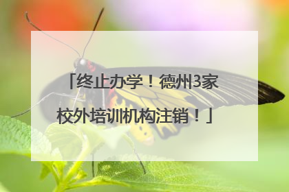 终止办学！德州3家校外培训机构注销！