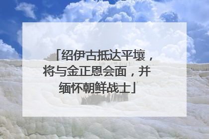 绍伊古抵达平壤，将与金正恩会面，并缅怀朝鲜战士