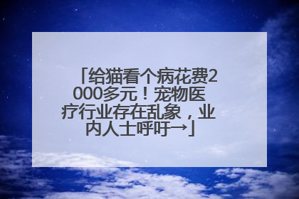 给猫看个病花费2000多元！宠物医疗行业存在乱象，业内人士呼吁→