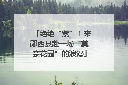 绝绝“紫”！来郧西县赴一场“莫奈花园”的浪漫