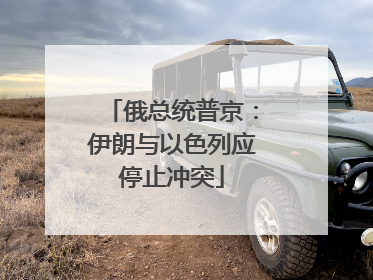 俄总统普京：伊朗与以色列应停止冲突