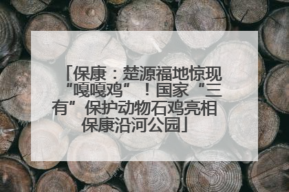 保康：楚源福地惊现“嘎嘎鸡”！国家“三有”保护动物石鸡亮相保康沿河公园