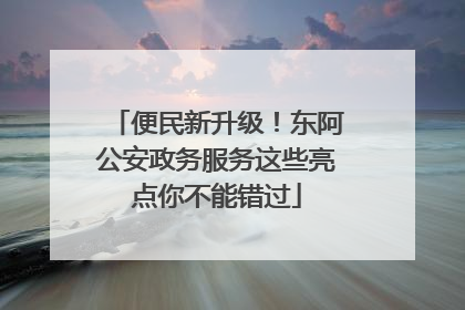 便民新升级！东阿公安政务服务这些亮点你不能错过