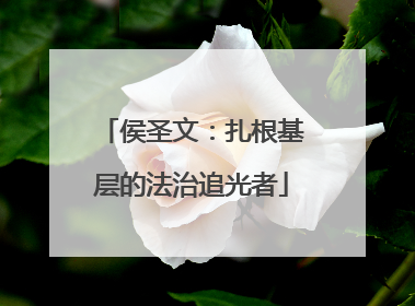侯圣文：扎根基层的法治追光者