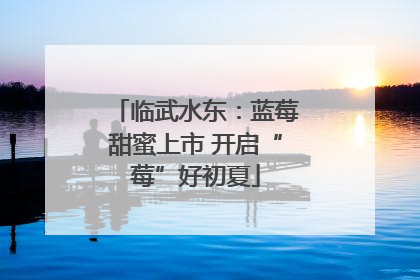 临武水东：蓝莓甜蜜上市 开启“莓”好初夏