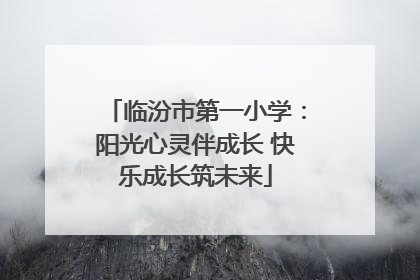 临汾市第一小学：阳光心灵伴成长 快乐成长筑未来
