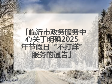 临沂市政务服务中心关于明确2025年节假日“不打烊”服务的通告