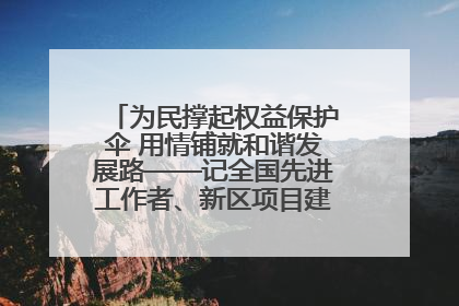 为民撑起权益保护伞 用情铺就和谐发展路——记全国先进工作者、新区项目建设中心干部卢小勇