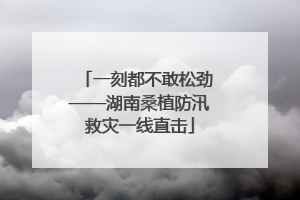 一刻都不敢松劲——湖南桑植防汛救灾一线直击