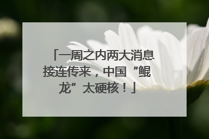一周之内两大消息接连传来，中国“鲲龙”太硬核！