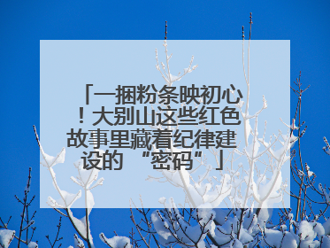 一捆粉条映初心！大别山这些红色故事里藏着纪律建设的 “密码”