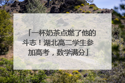 一杯奶茶点燃了他的斗志！湖北高二学生参加高考，数学满分