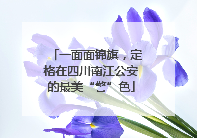 一面面锦旗，定格在四川南江公安的最美“警”色