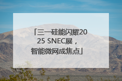 三一硅能闪耀2025 SNEC展，智能微网成焦点