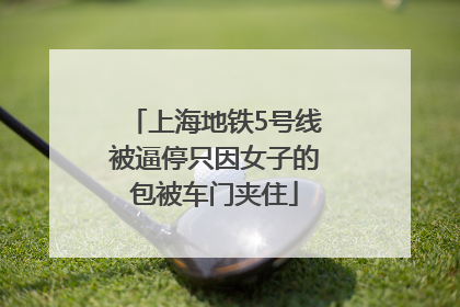上海地铁5号线被逼停只因女子的包被车门夹住