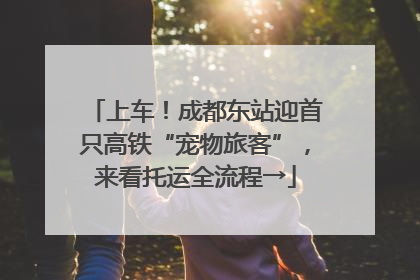 上车！成都东站迎首只高铁“宠物旅客”，来看托运全流程→