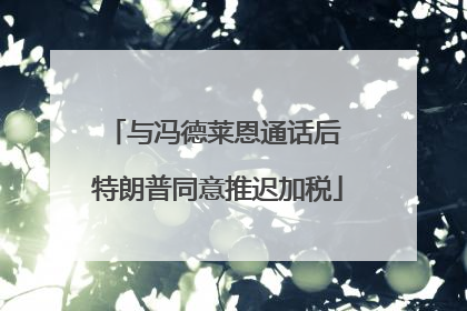 与冯德莱恩通话后 特朗普同意推迟加税