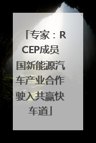 专家：RCEP成员国新能源汽车产业合作驶入共赢快车道