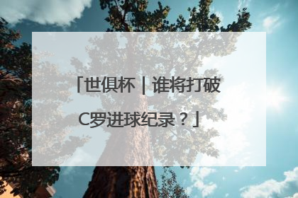 世俱杯｜谁将打破C罗进球纪录？