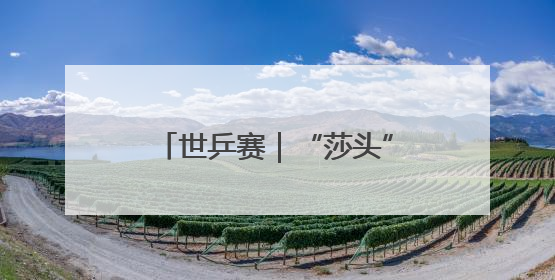 世乒赛｜“莎头”组合闯入混双决赛