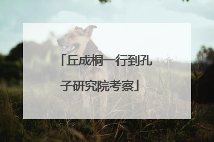 丘成桐一行到孔子研究院考察