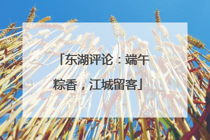 东湖评论：端午粽香，江城留客