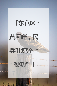 东营区：黄河畔，民兵驻堤淬“硬功”
