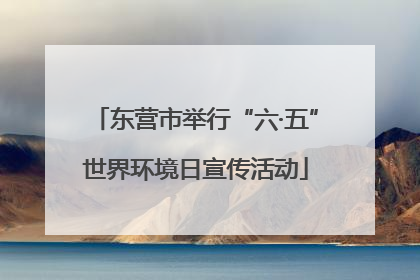 东营市举行“六·五”世界环境日宣传活动
