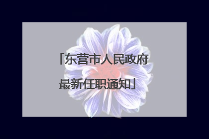 东营市人民政府最新任职通知