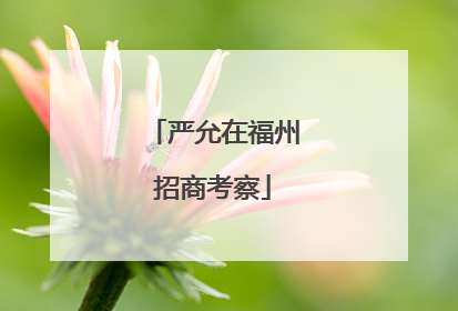 严允在福州招商考察